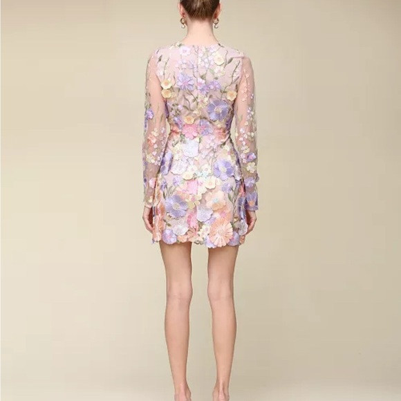 Aves Les Filles Floral Embroidered Sheer Dress - Picture 4 of 4